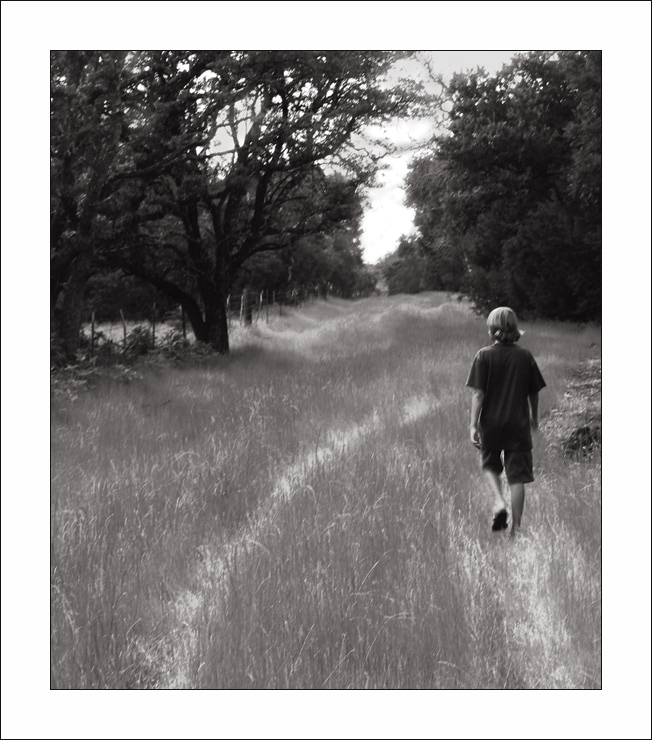 Wanderer - 13