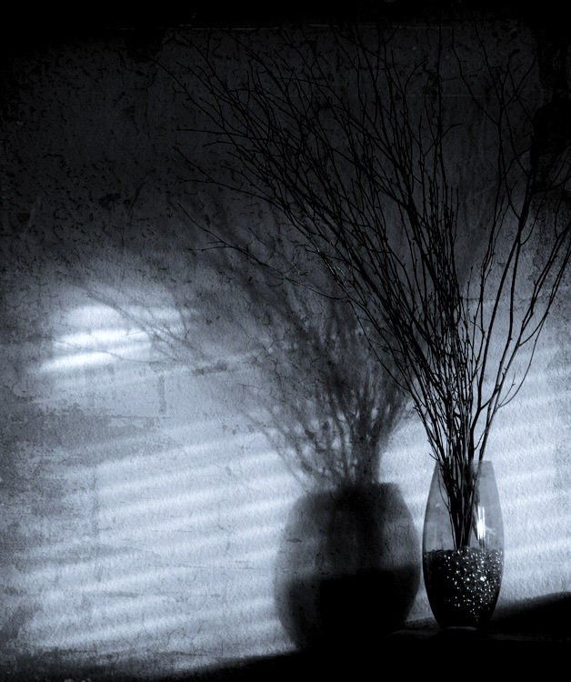 Shadows on the Wall