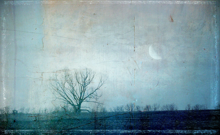 Traces