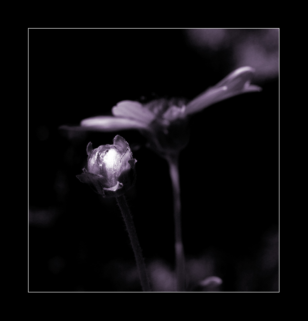 Open and Closed