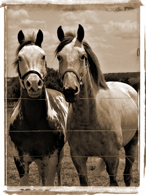 Compadres