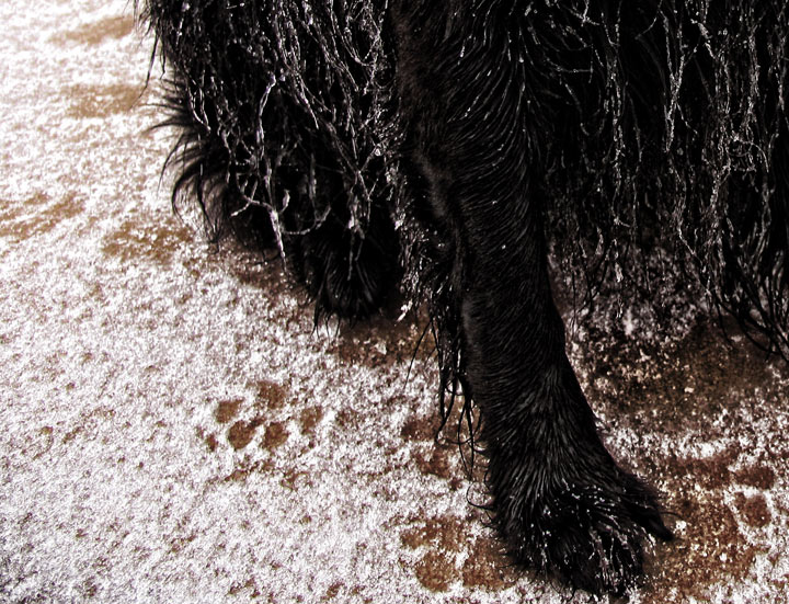 Cold-Feet