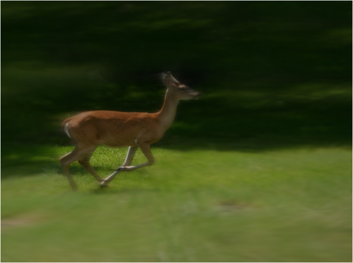 Run