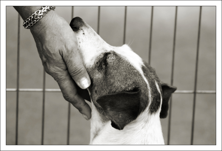 Human Touch