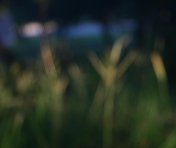 Summertime