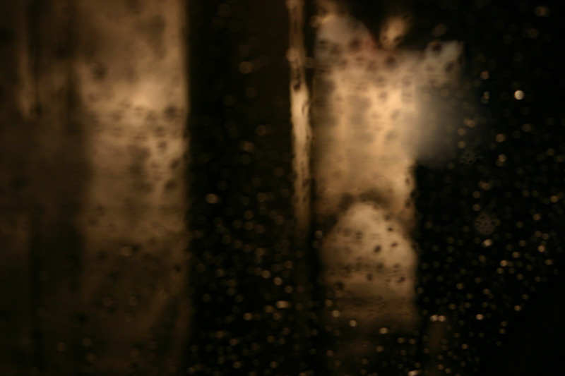 Blurred Rain 