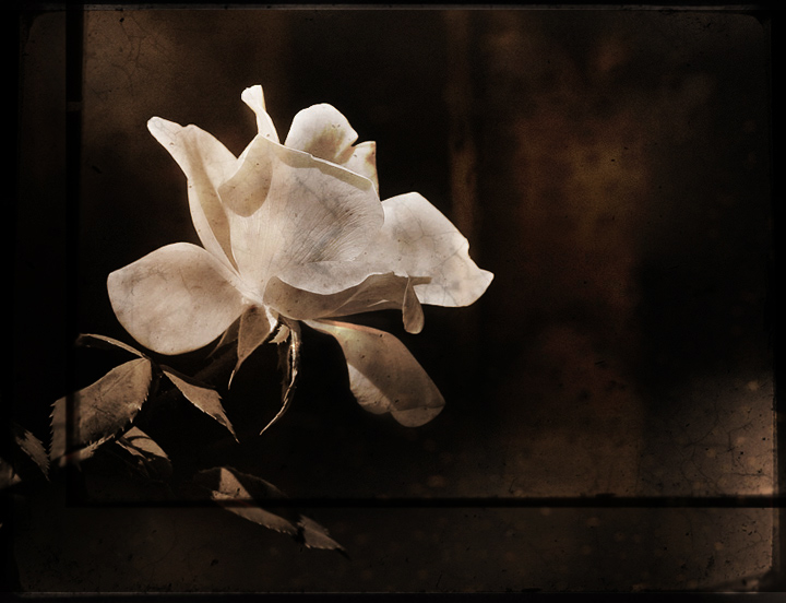 Remembrance