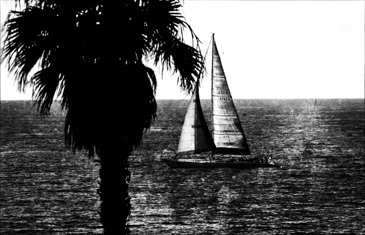 Sail Away