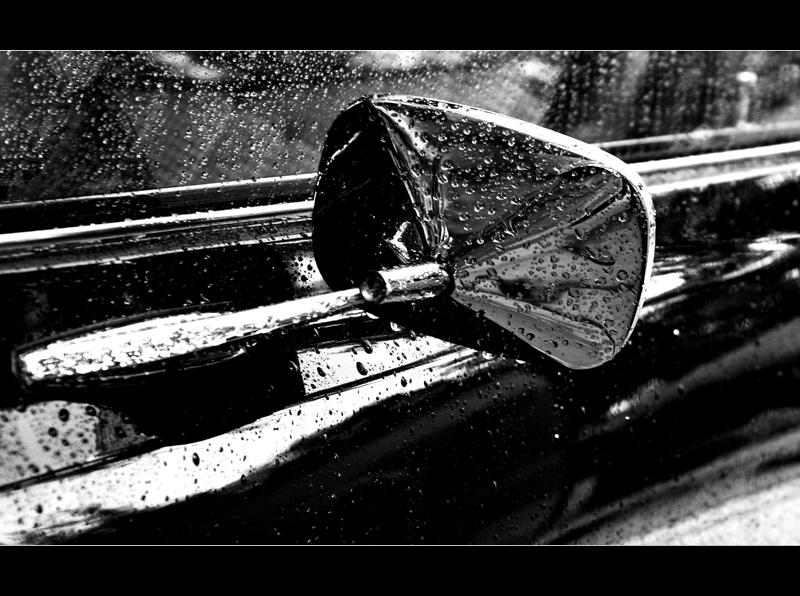 Rainy Reflection