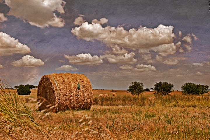 Texas Summer