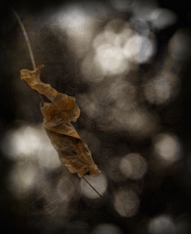 Dancing in the Light