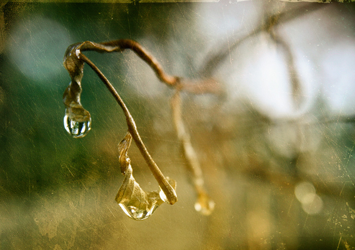 Crystal Chandelier