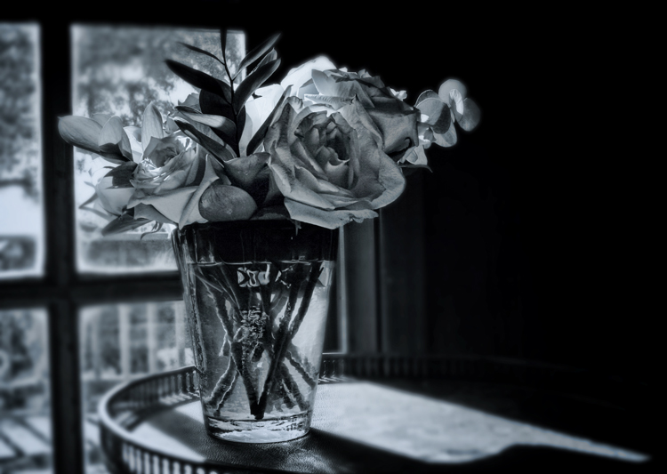 Roses by the Window