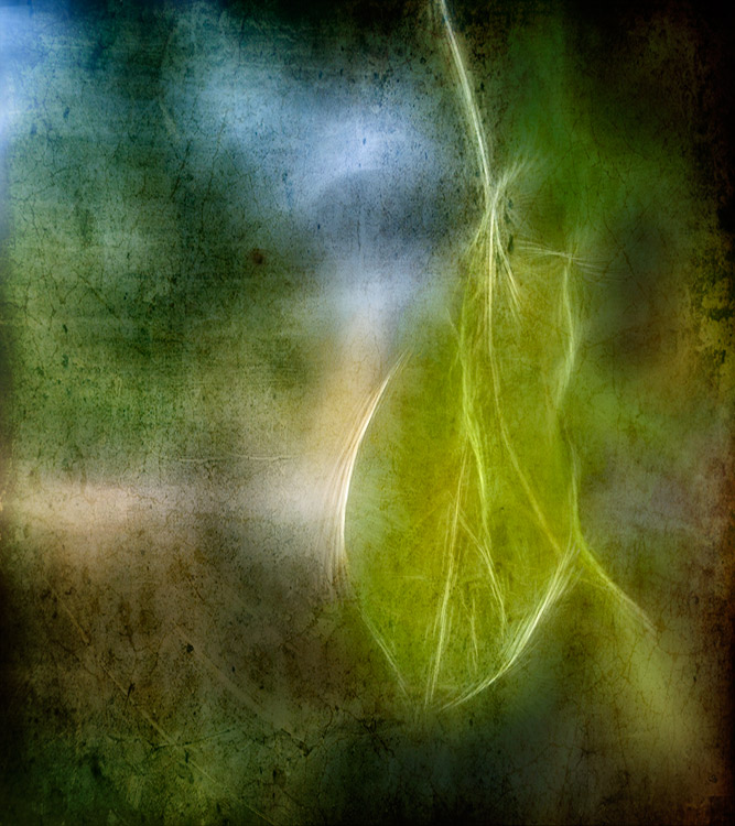 Color and Texture