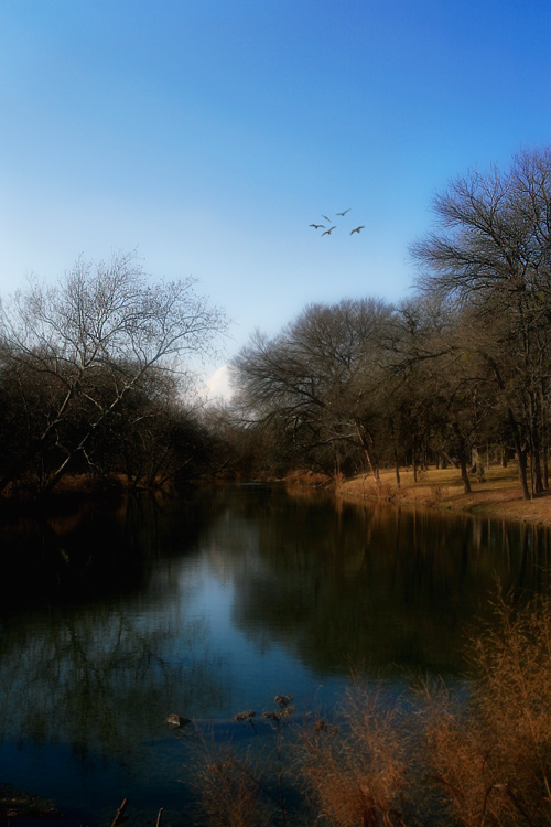 Winter Creek