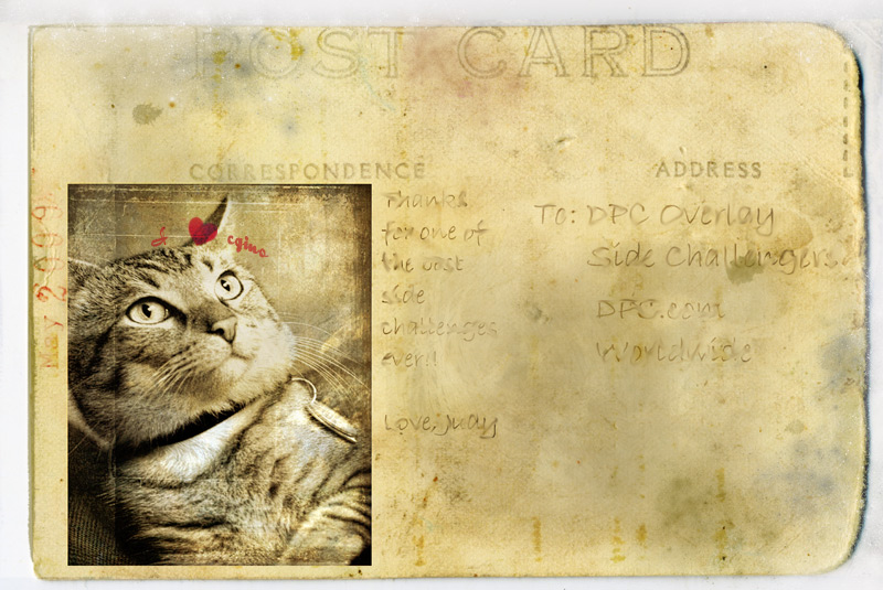 Postcard to Everyone