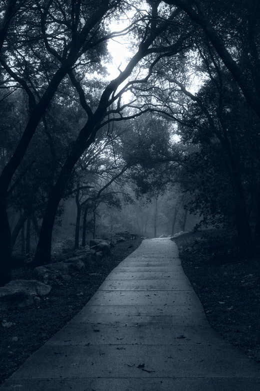 as leaves begin to fall