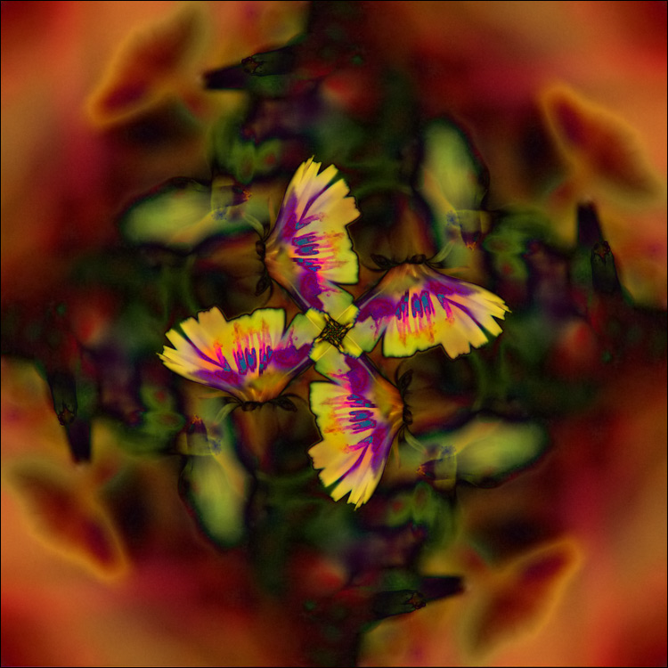 flower twirl