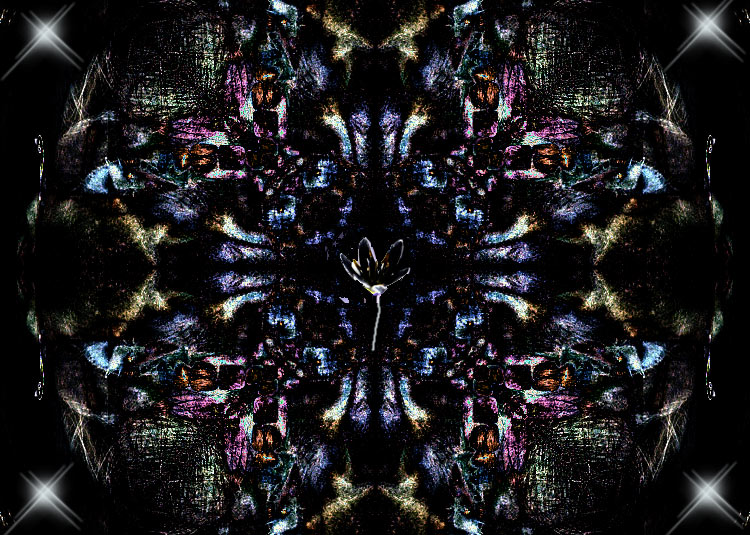 Starshine