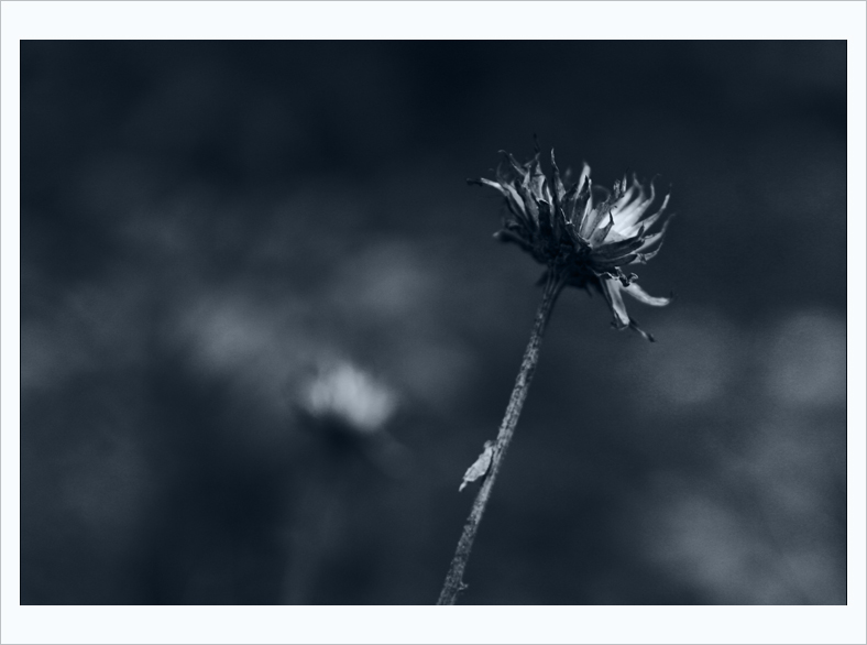 Tumultuous Past