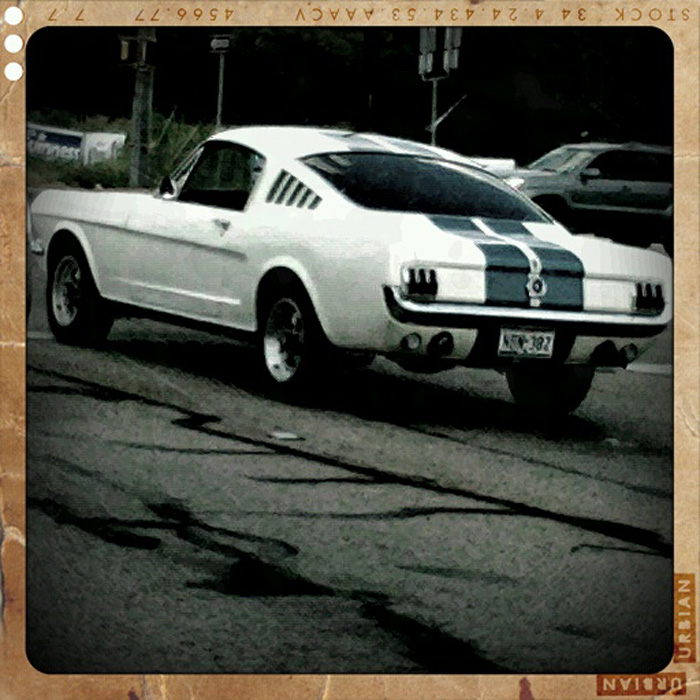 fastback