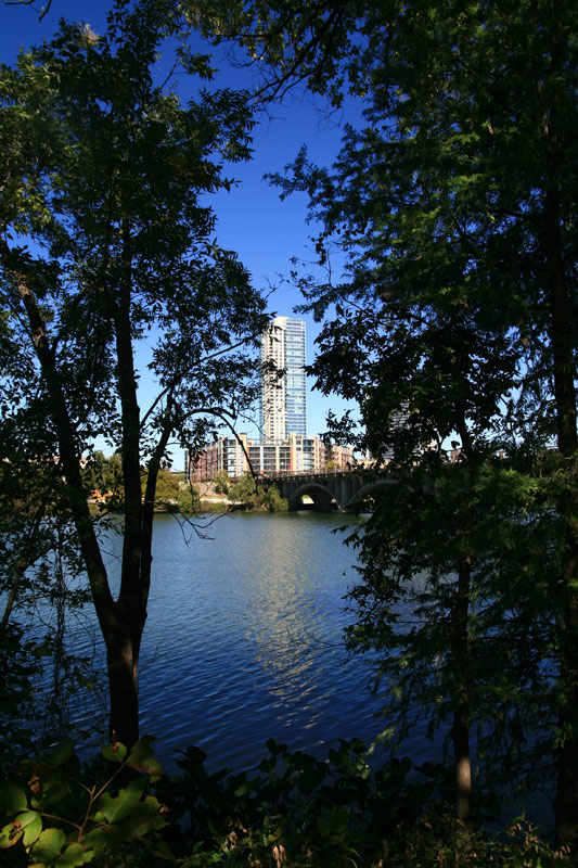 Downtown through the Trees