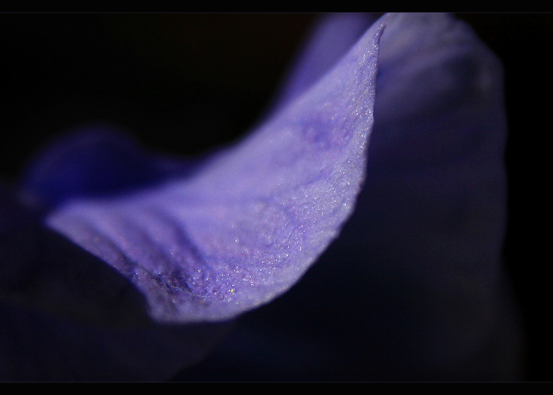 glitter