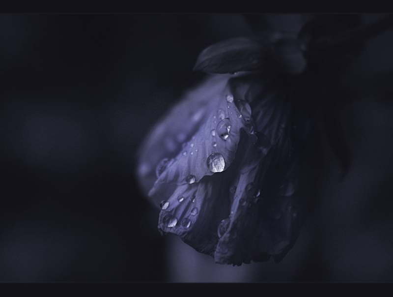 though your heart is aching