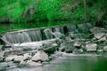 CRW_6651_heron_at_the_weir.jpg