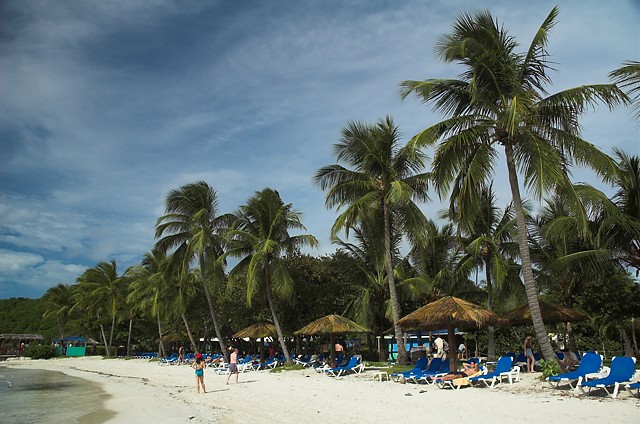Palamino Island