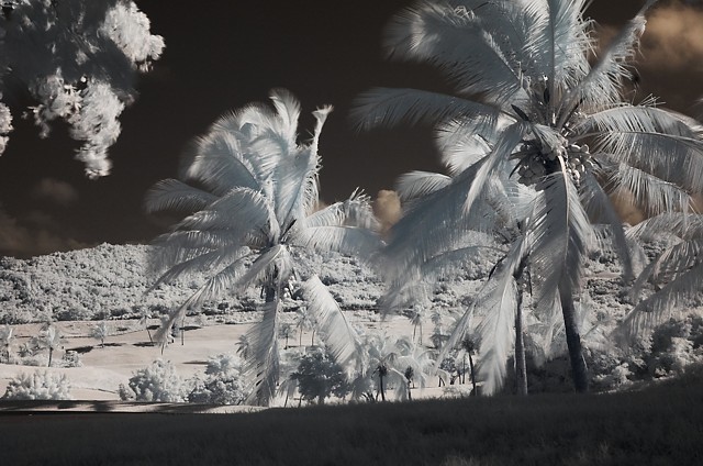 Infrared Golf Course