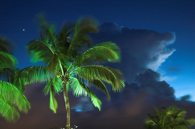 Night Falls