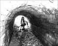 tunnel.jpg