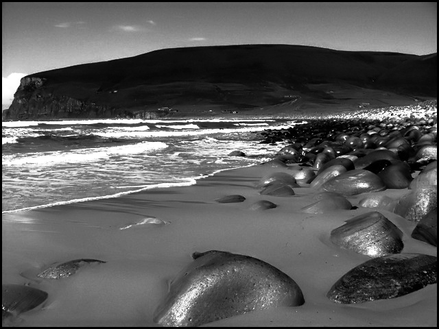 B&W2.jpg