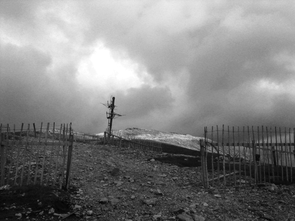 B&W.jpg