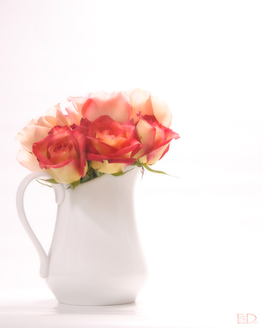 Roses with Blur