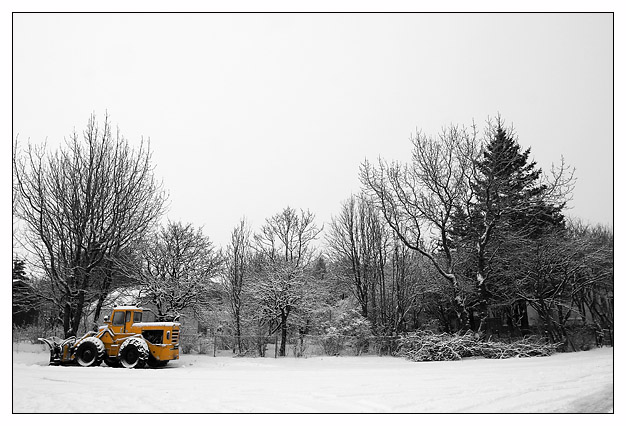 Winter