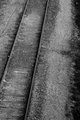 Making Tracks
