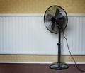 Rad / Fan