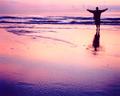 Embrace the day