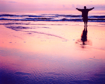 Embrace the day