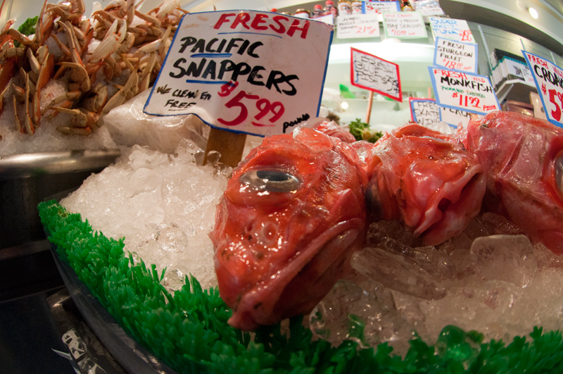 snappers