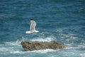 DSC_4717.jpg