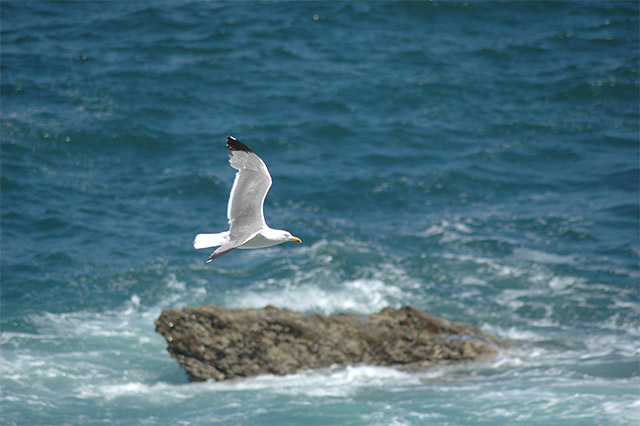 DSC_4717.jpg