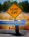 _MG_5236-Edit-2