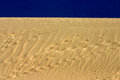 Footprints in the sand