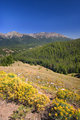 Looking toward Ketchum
