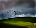 flock and turbines