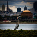 _MG_5529-Edit