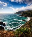 _MG_5925